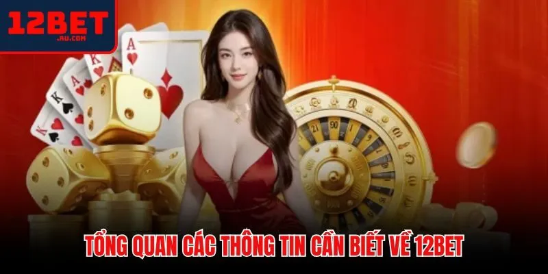 12BET 43 Thông tin cơ bản về mô hình hoạt động của 12BET